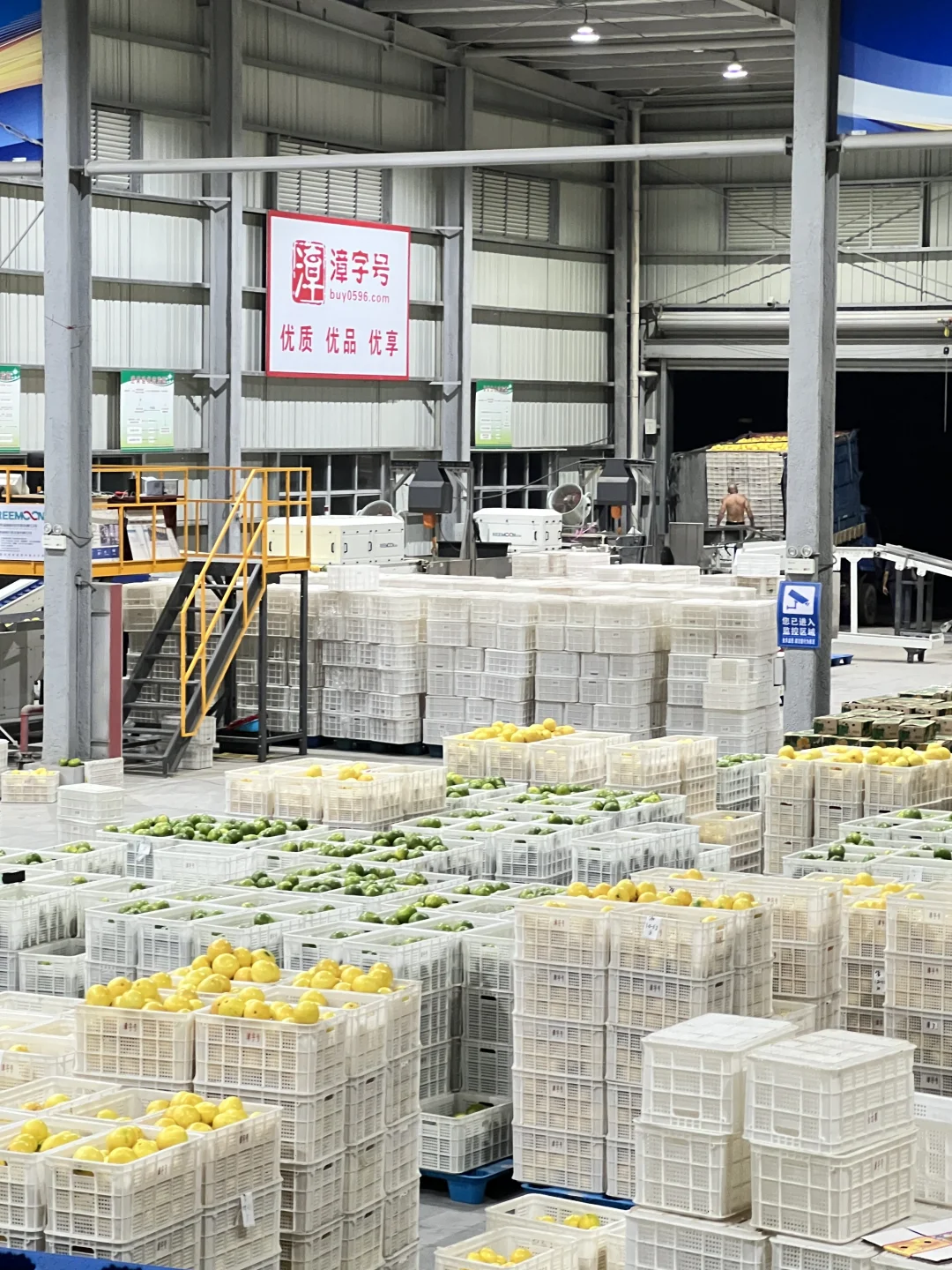 俺在5000多平的柚子厂打工