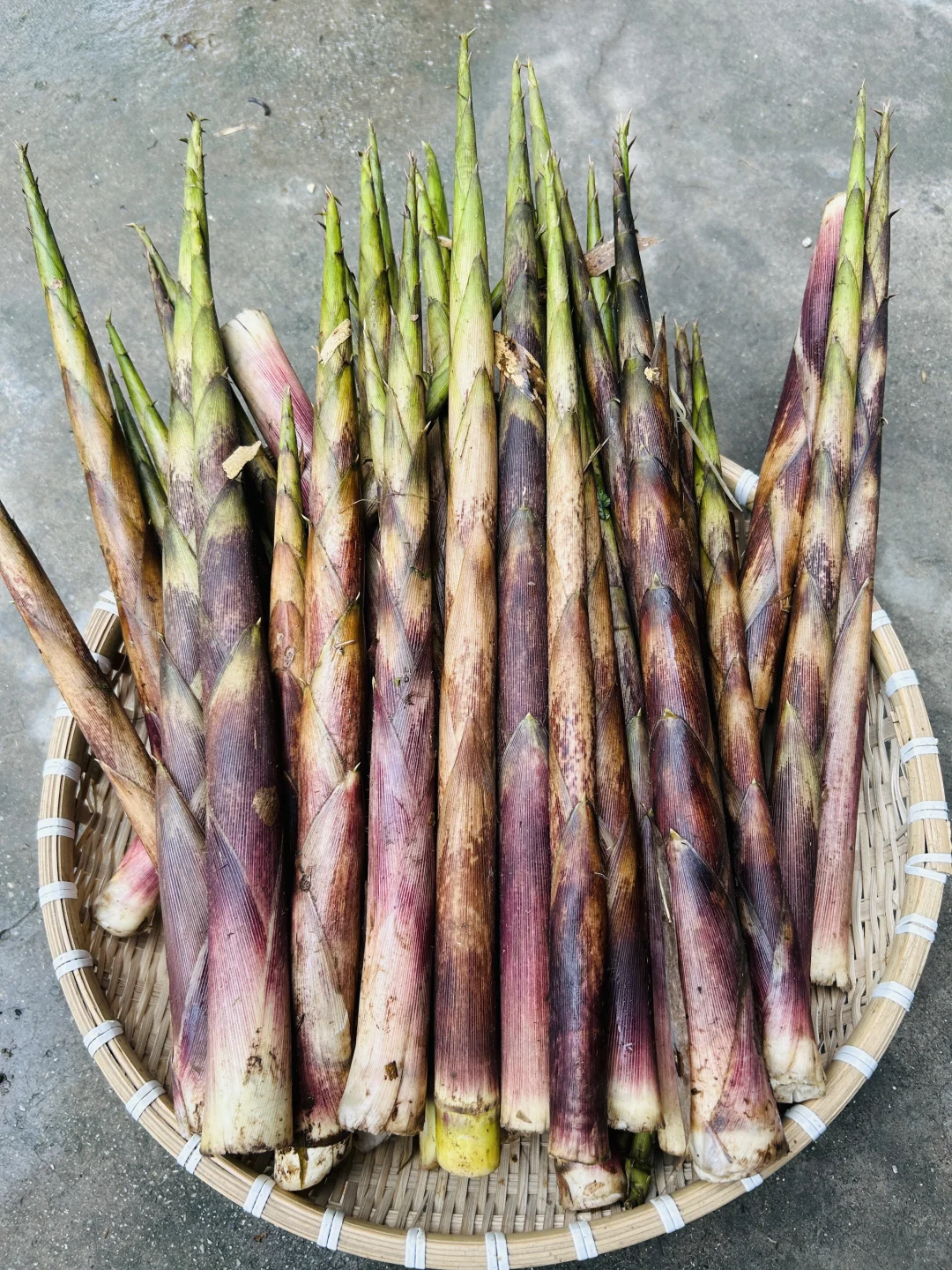 不好意思！最近只有这些菜❗️