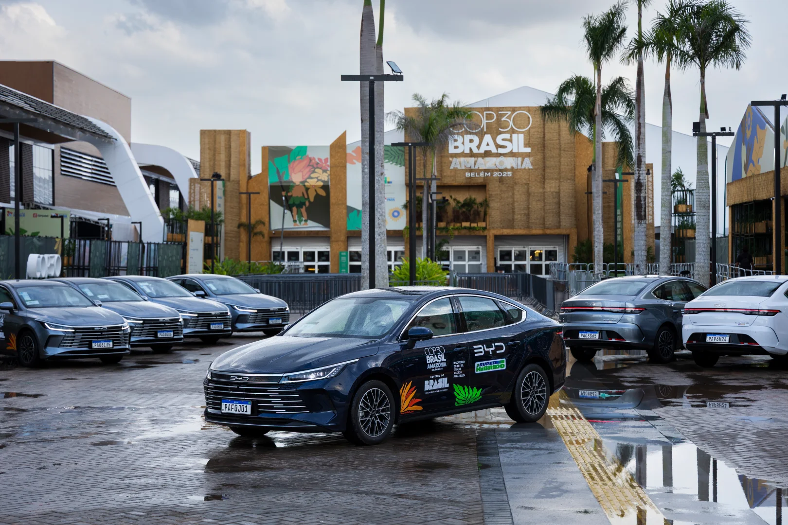 中国方案正在重塑世界的未来