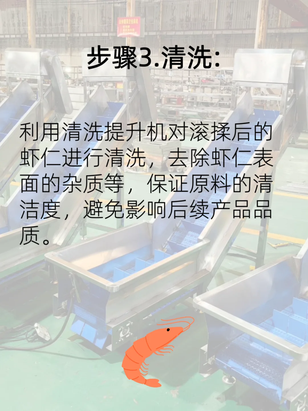 虾仁加工至虾滑流水线流程