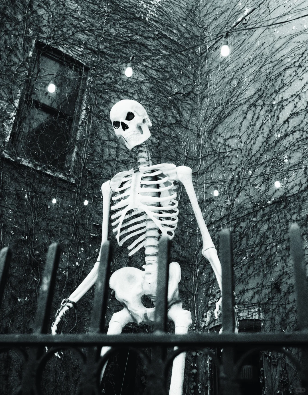 ?安娜堡拍腻了于是去了Ypsilanti