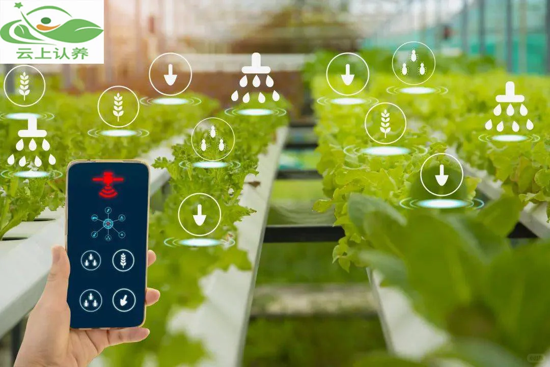 云上认养—智慧农业：未来农业发展新趋势！