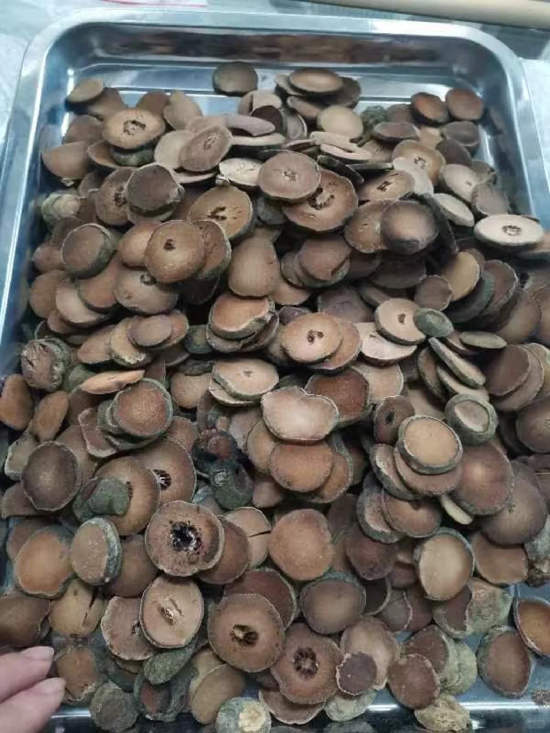 记录乡村乡事，乡村生活点滴，乡村农副产品、绿色生态原产品，助力乡村振兴，帮扶村民