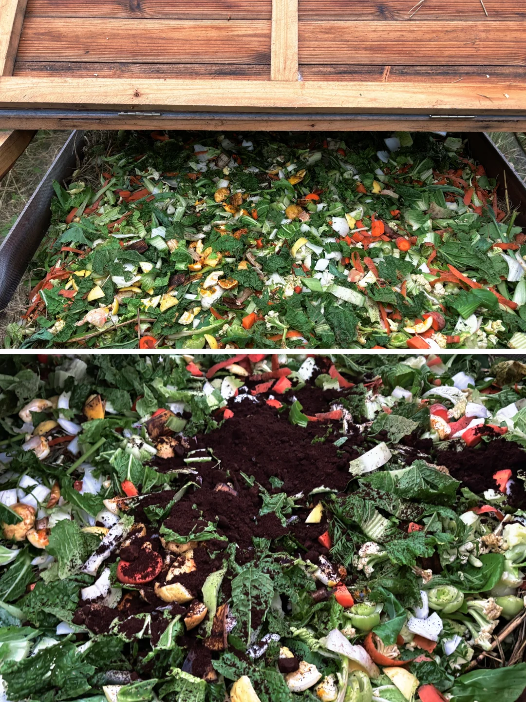 农场日记vol.6｜把厨余垃圾交给堆肥箱吧