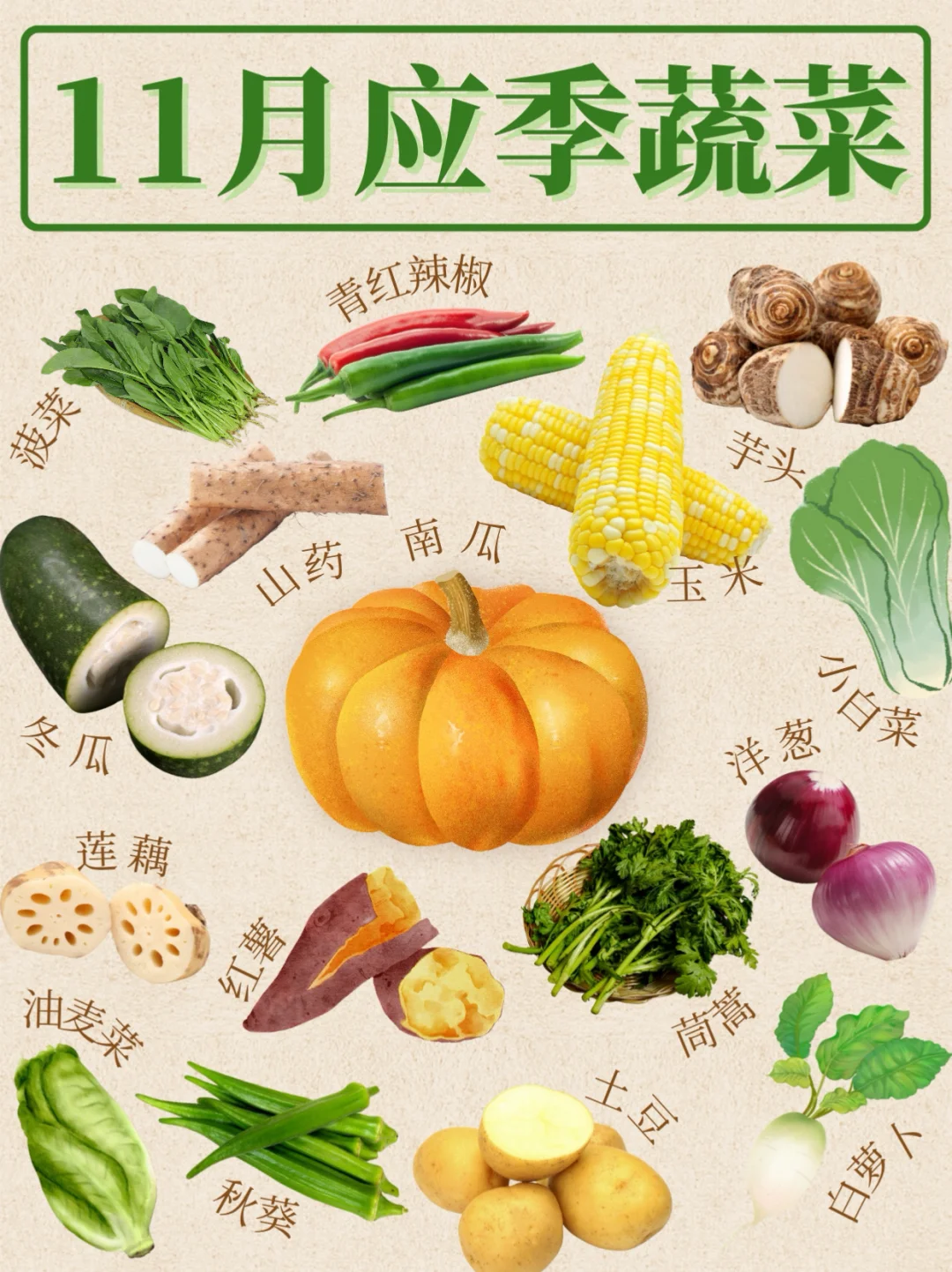 11月多吃?16种应季蔬菜✅秋冬养生指南