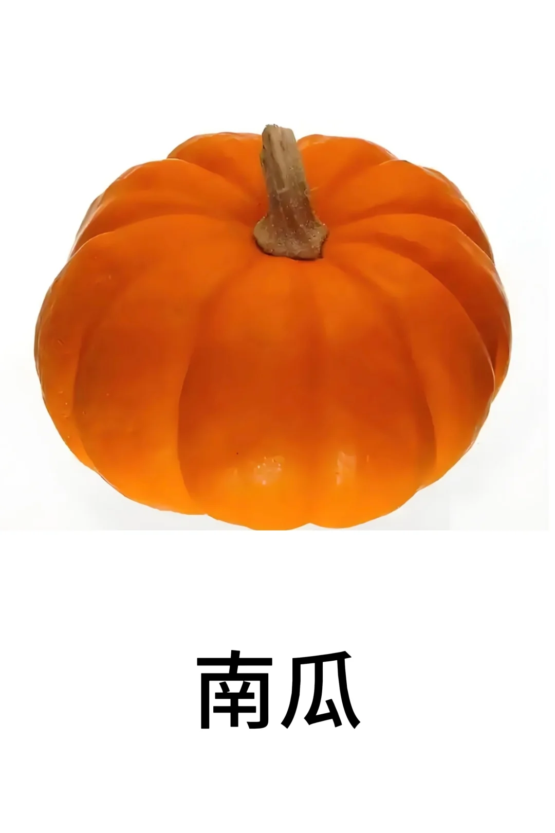 基础认知-蔬菜篇