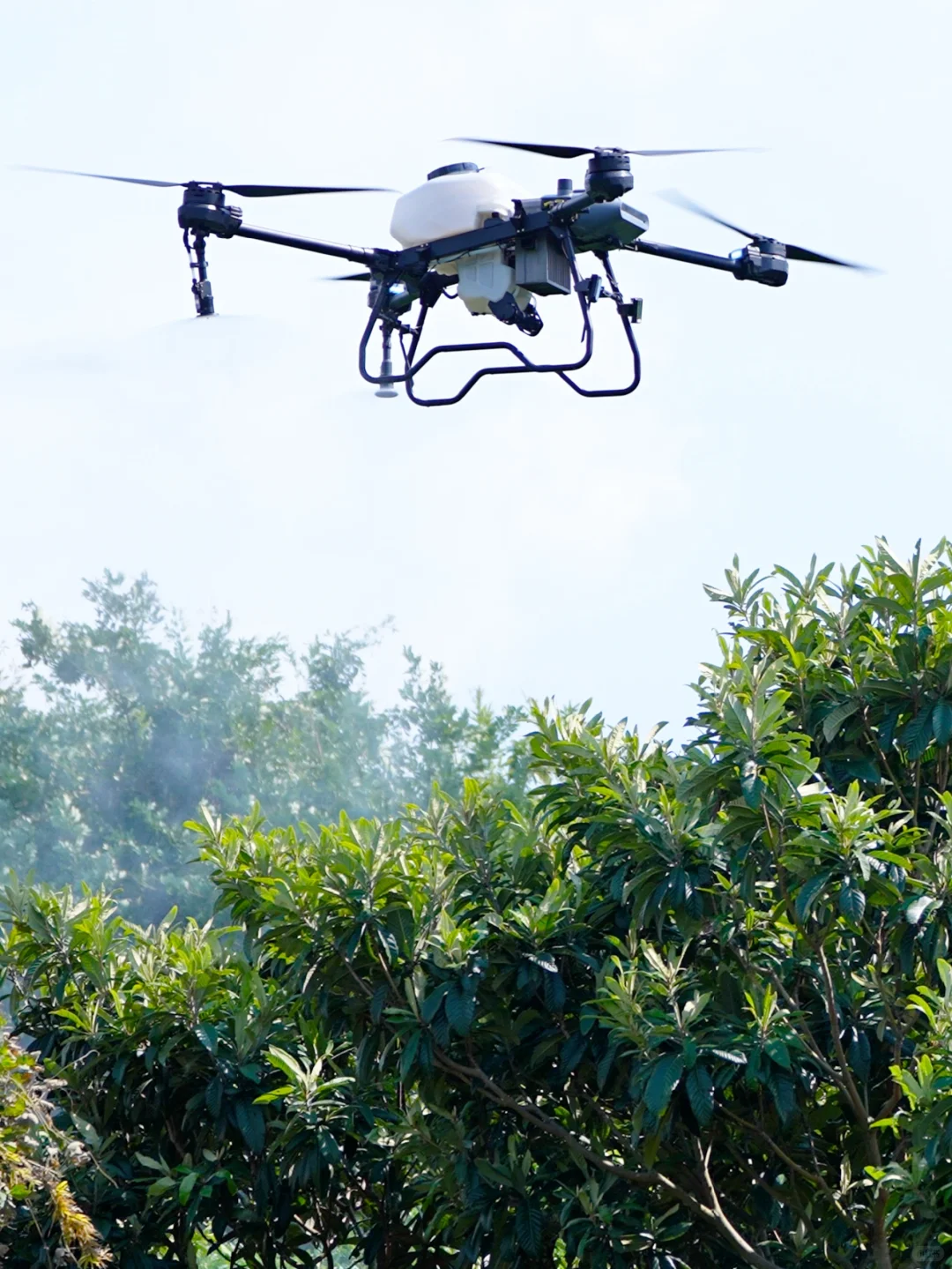 劝你别看!怕你发现无人机轻松赚钱辞职回村