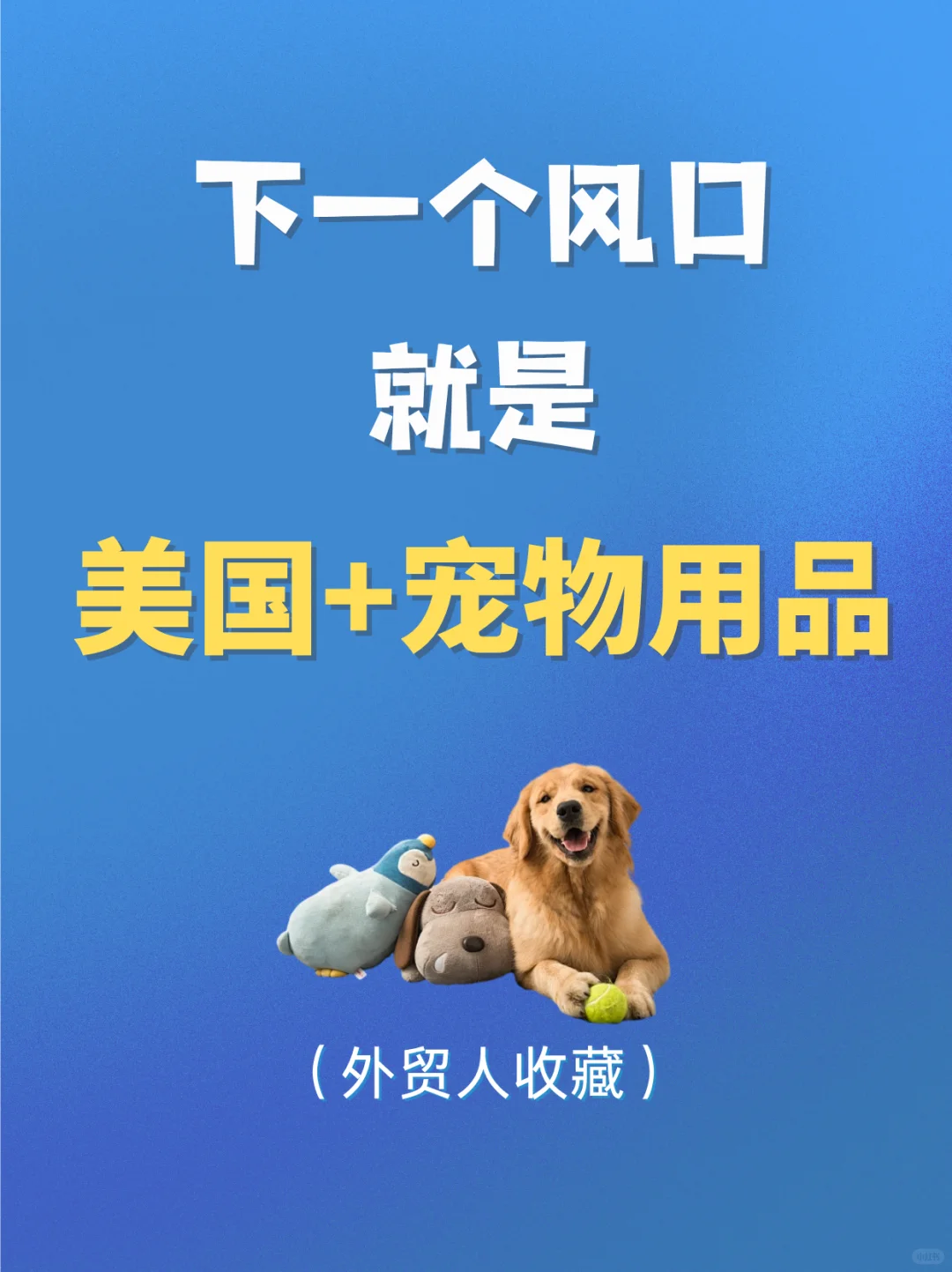下一个外贸风口就是做:美国+宠物用品