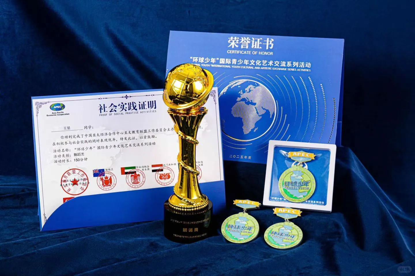 2025“环球少年”国际青少年文化艺术交流