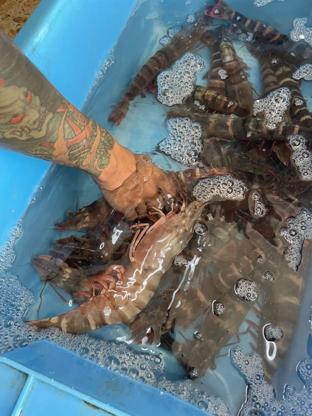 亚庇中央市场买海鲜