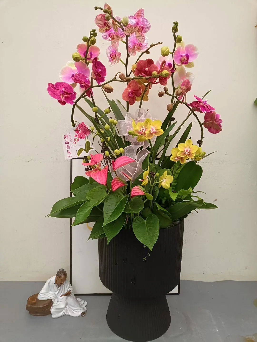 绿植盆栽,让家充满生机与活力!!!