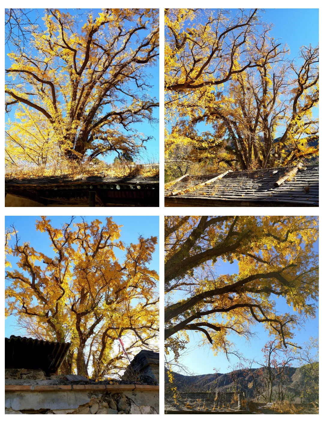 11.8[周六]【京门铁路-广化寺-琉璃渠】户外