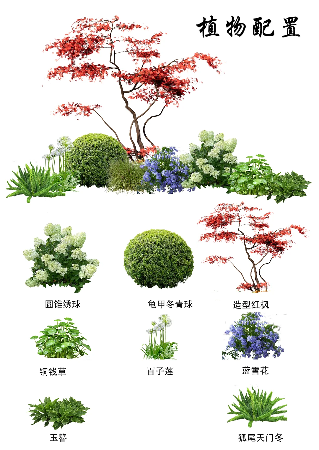 植物配置（70）