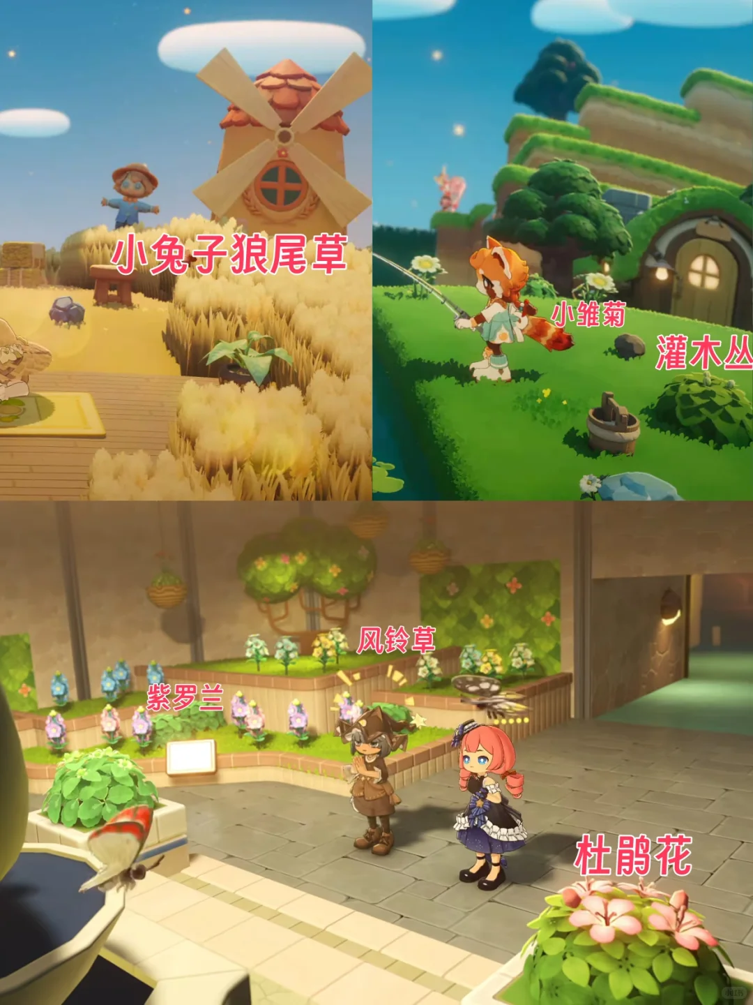 星布谷地PV植物大盘点