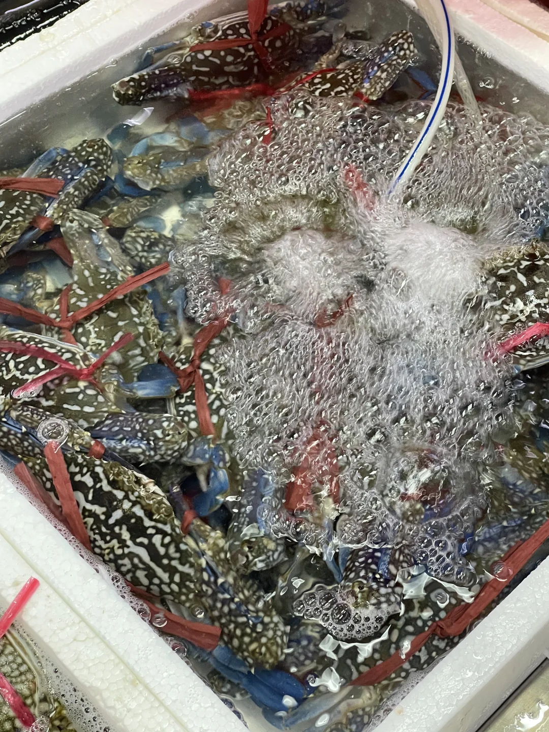 海口海鲜市场现买现加工～每次必打卡