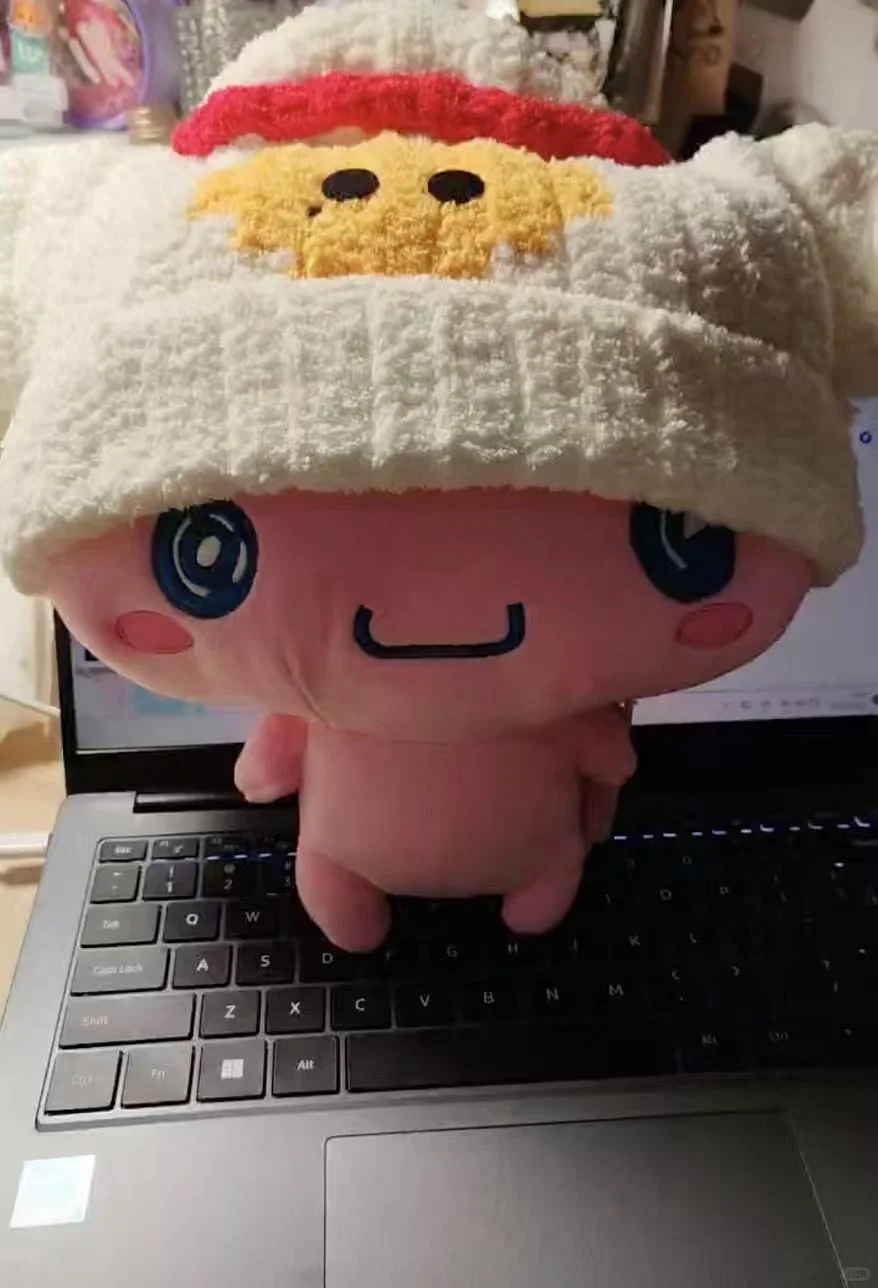 和睦请避雷!!请追星人避雷此人手工针织