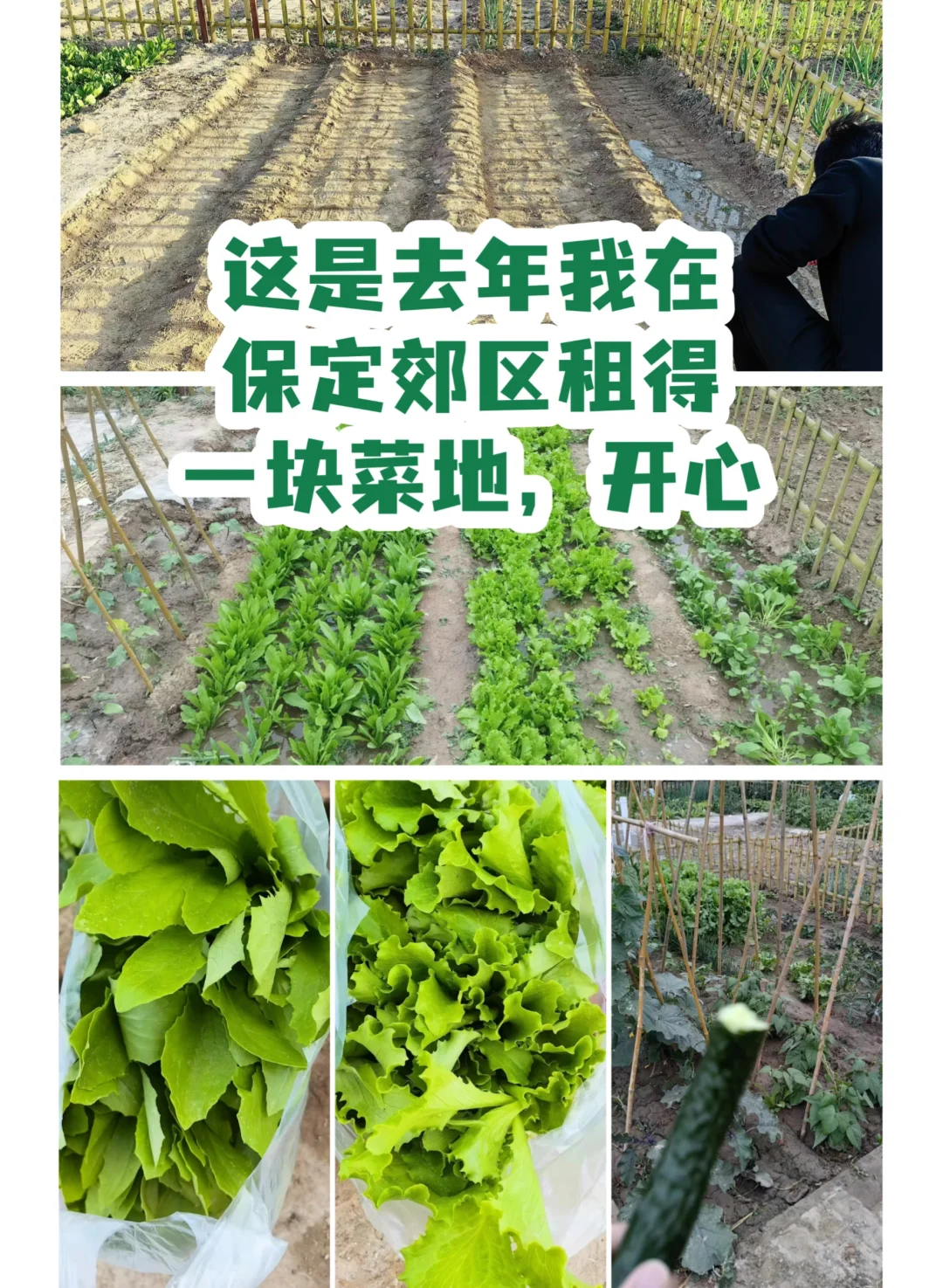 绿色农业ppt 乡村振兴ppt 大职规ppt