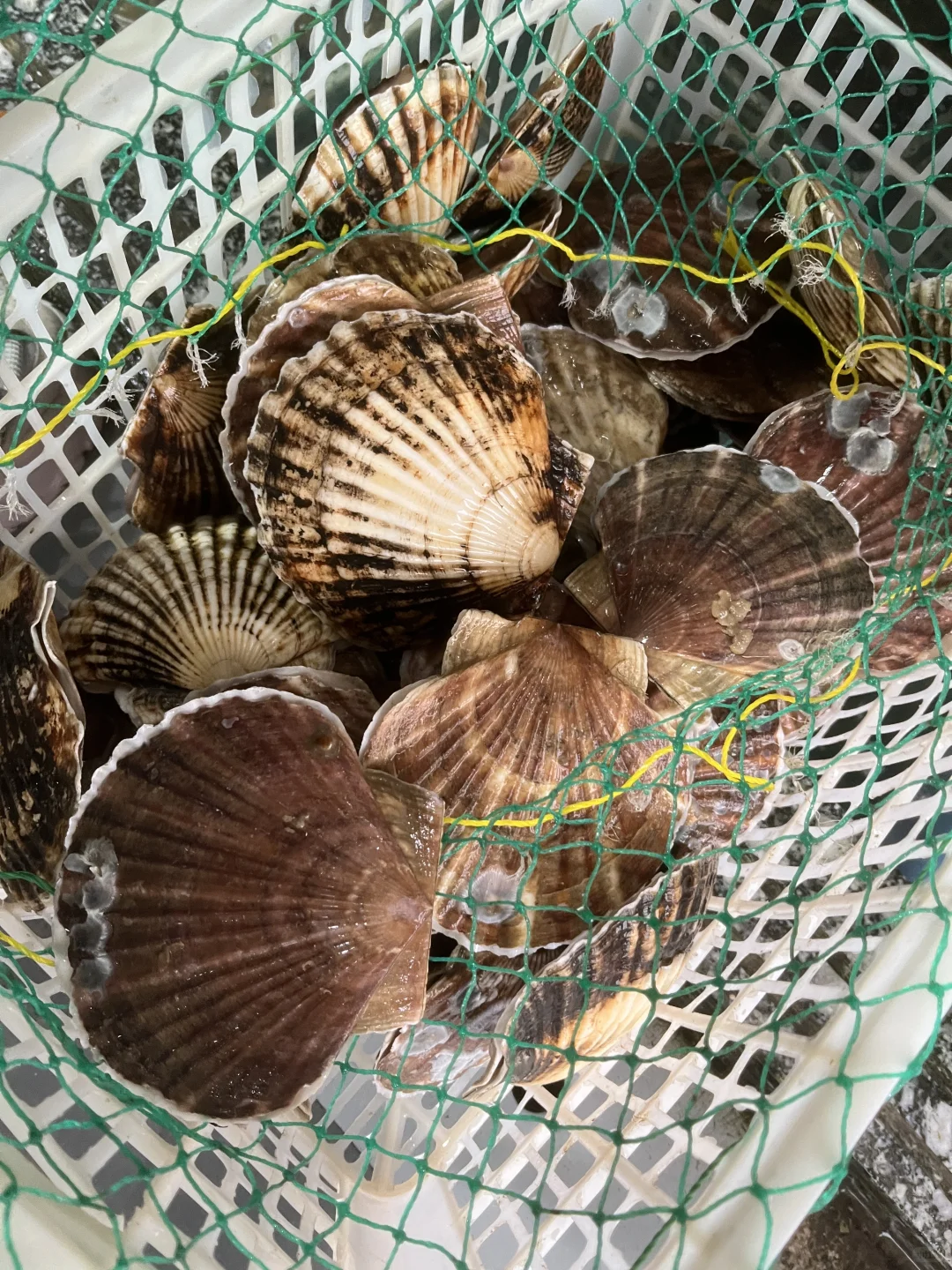 ? 上海江阳市场24h逛吃攻略