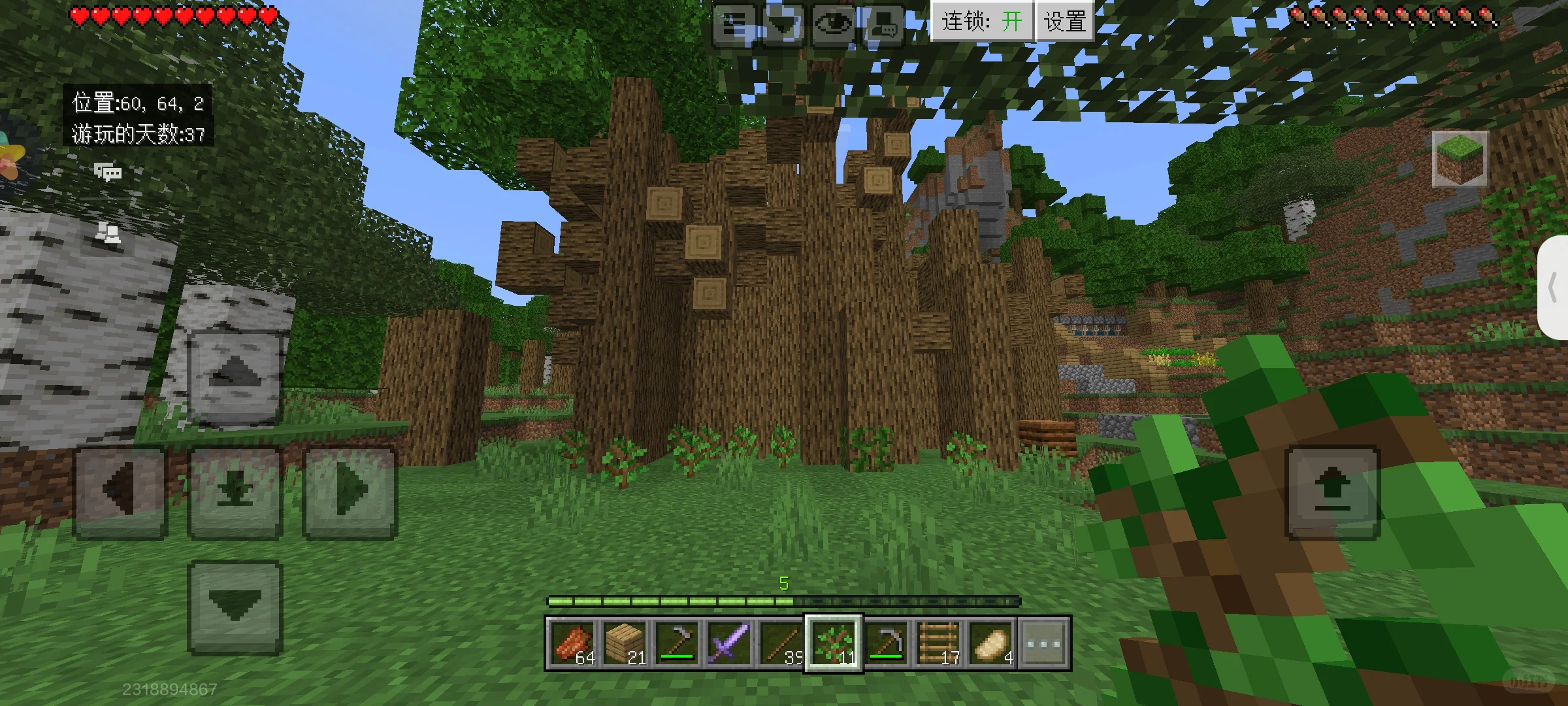 树苗种多了有种家里被占领的感觉