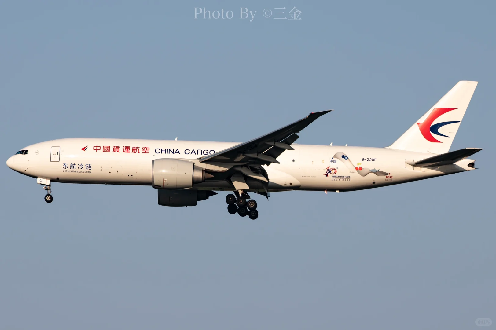 2014-2024|南美生鲜快运十周年