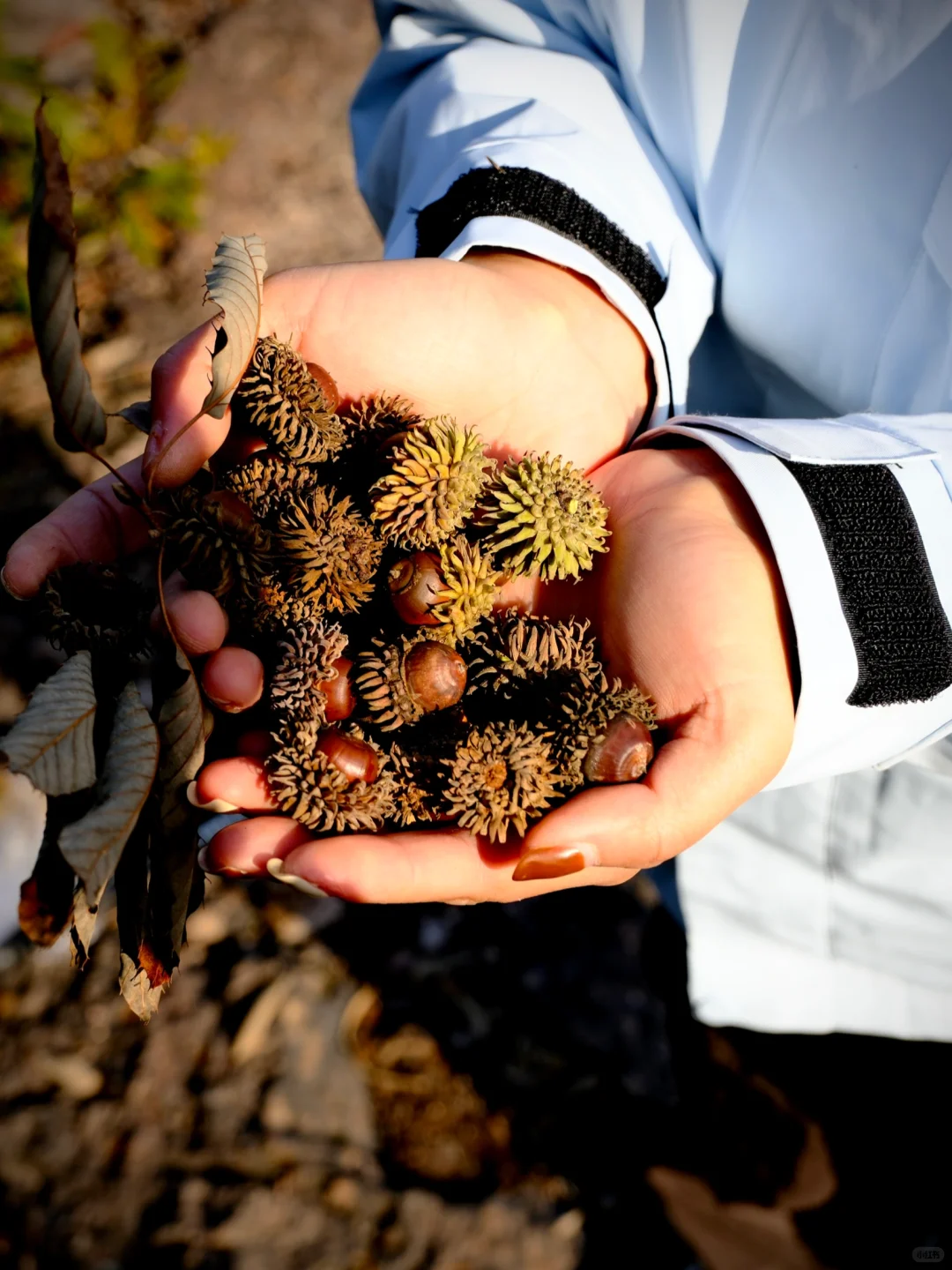 上虞降温首爬 | 梁祝古道环线秋意浓浓?