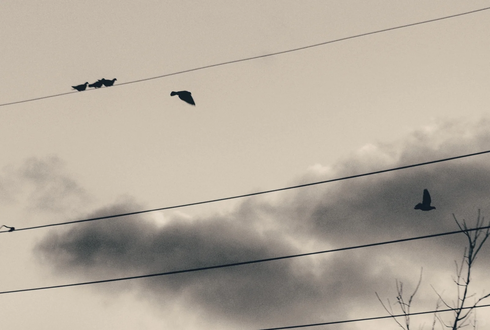 ?安娜堡拍腻了于是去了Ypsilanti