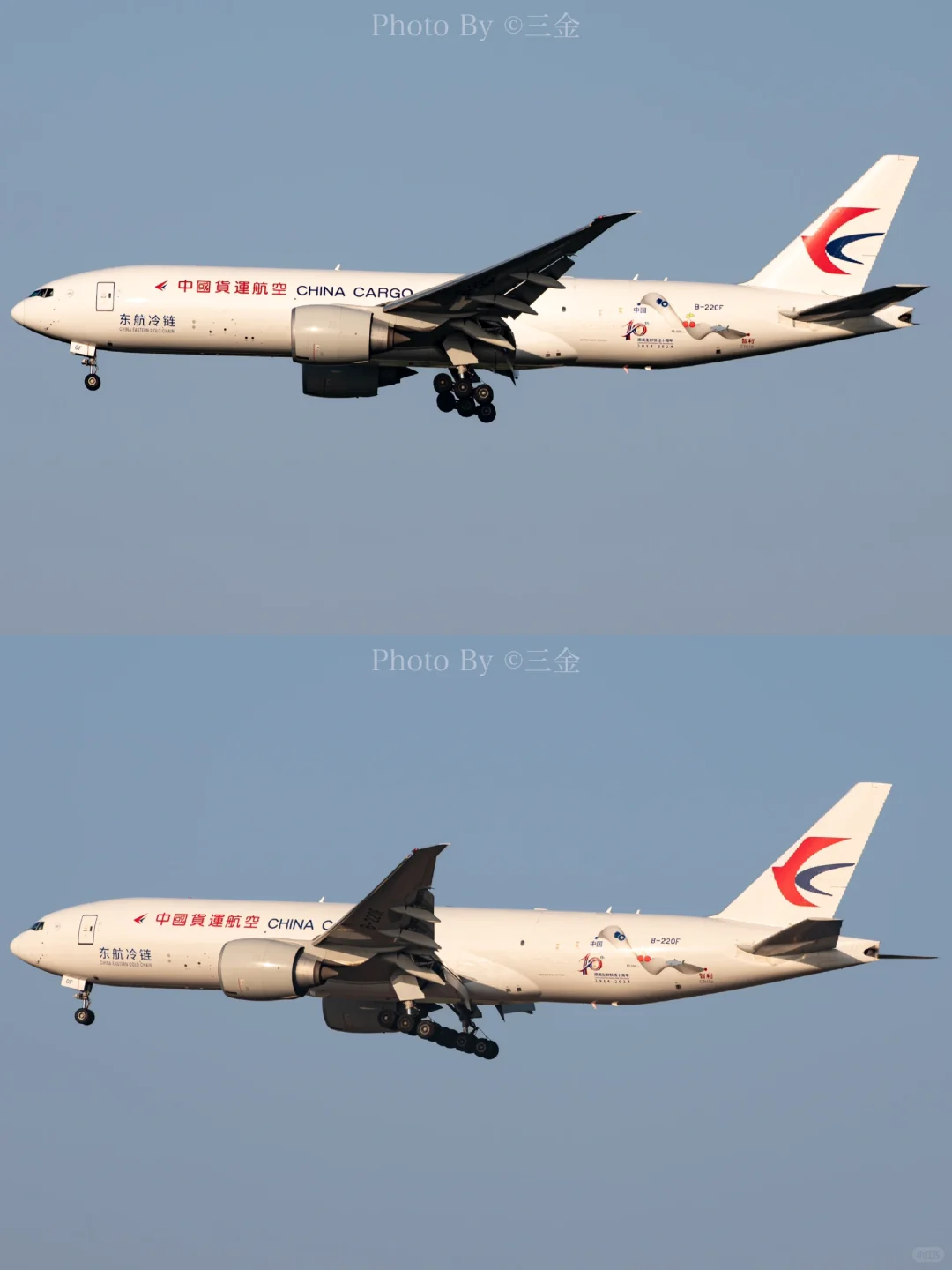 2014-2024|南美生鲜快运十周年