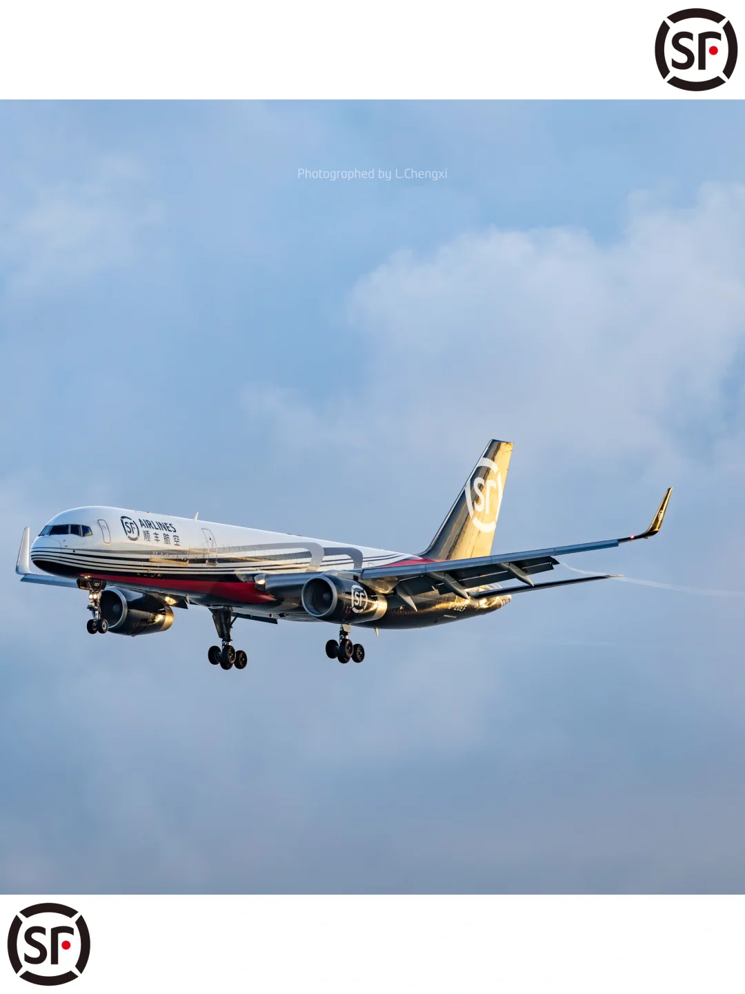 高崎日记179｜你的快递?一大早就在天上飞