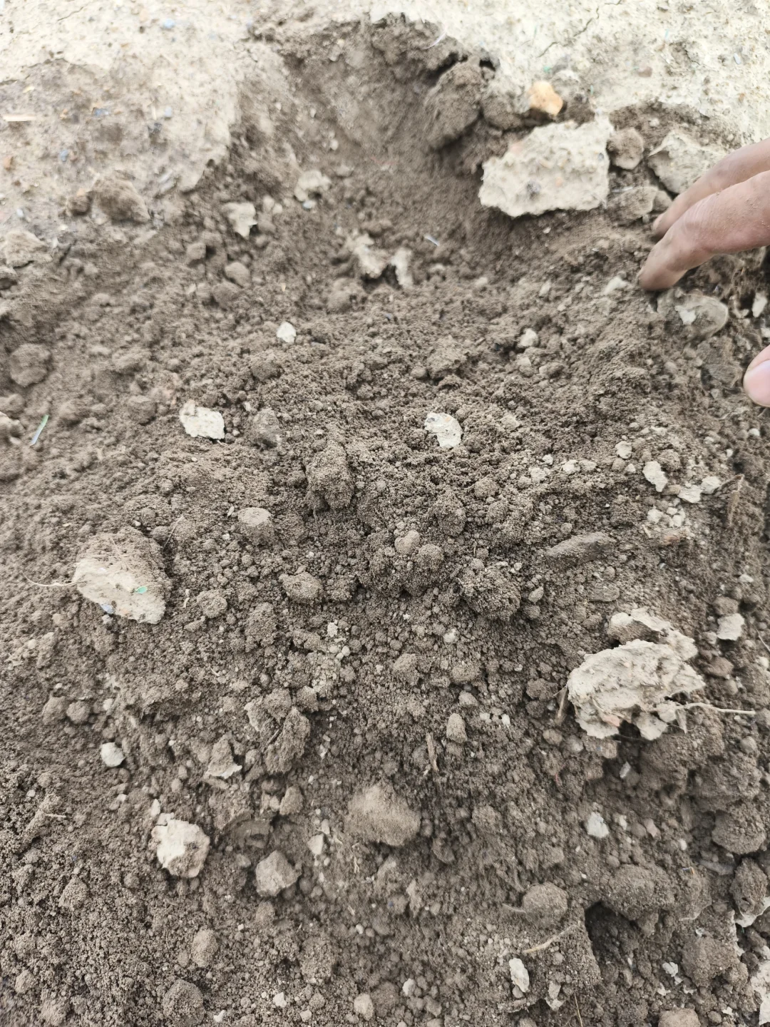 永久的话题——土壤