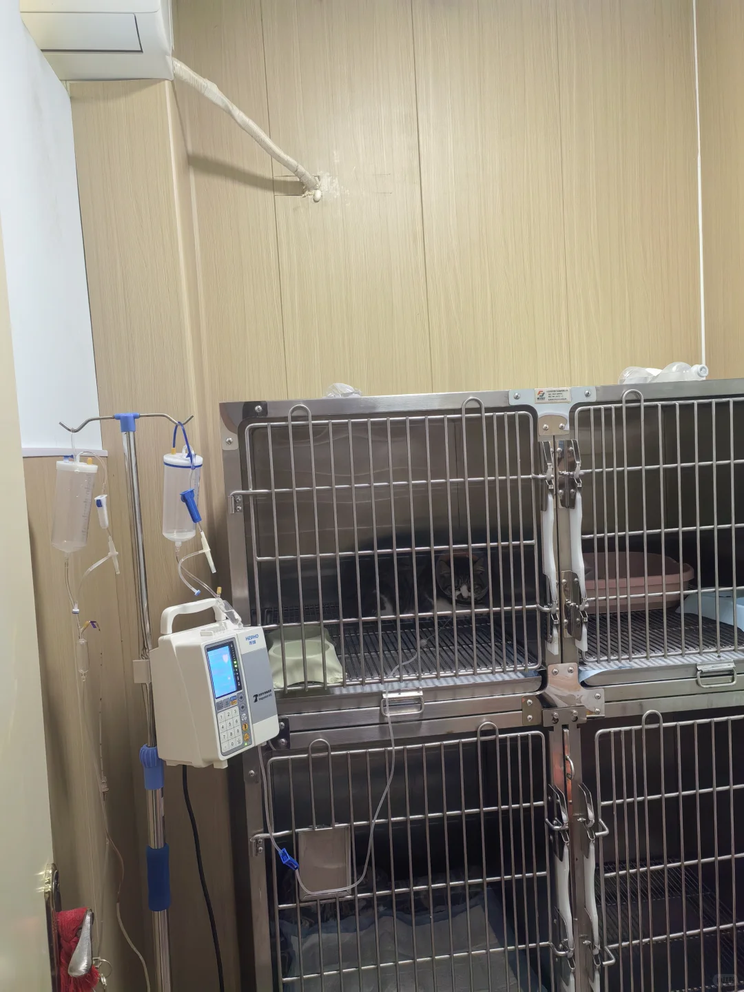 愿景:在洛阳开家好口碑的宠物医院