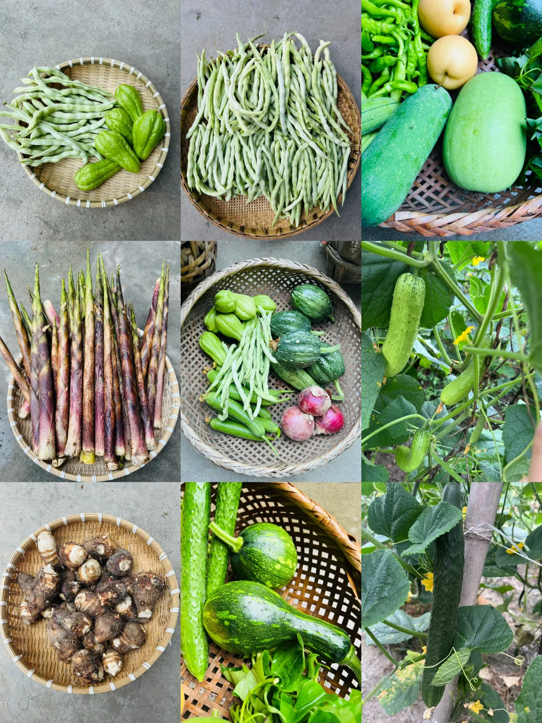 不好意思！最近只有这些菜❗️