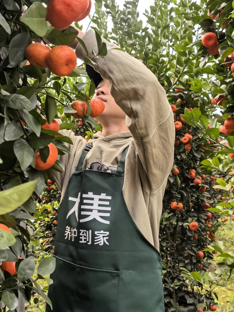 招聘绿化养护工，专业培训，可兼职可全职