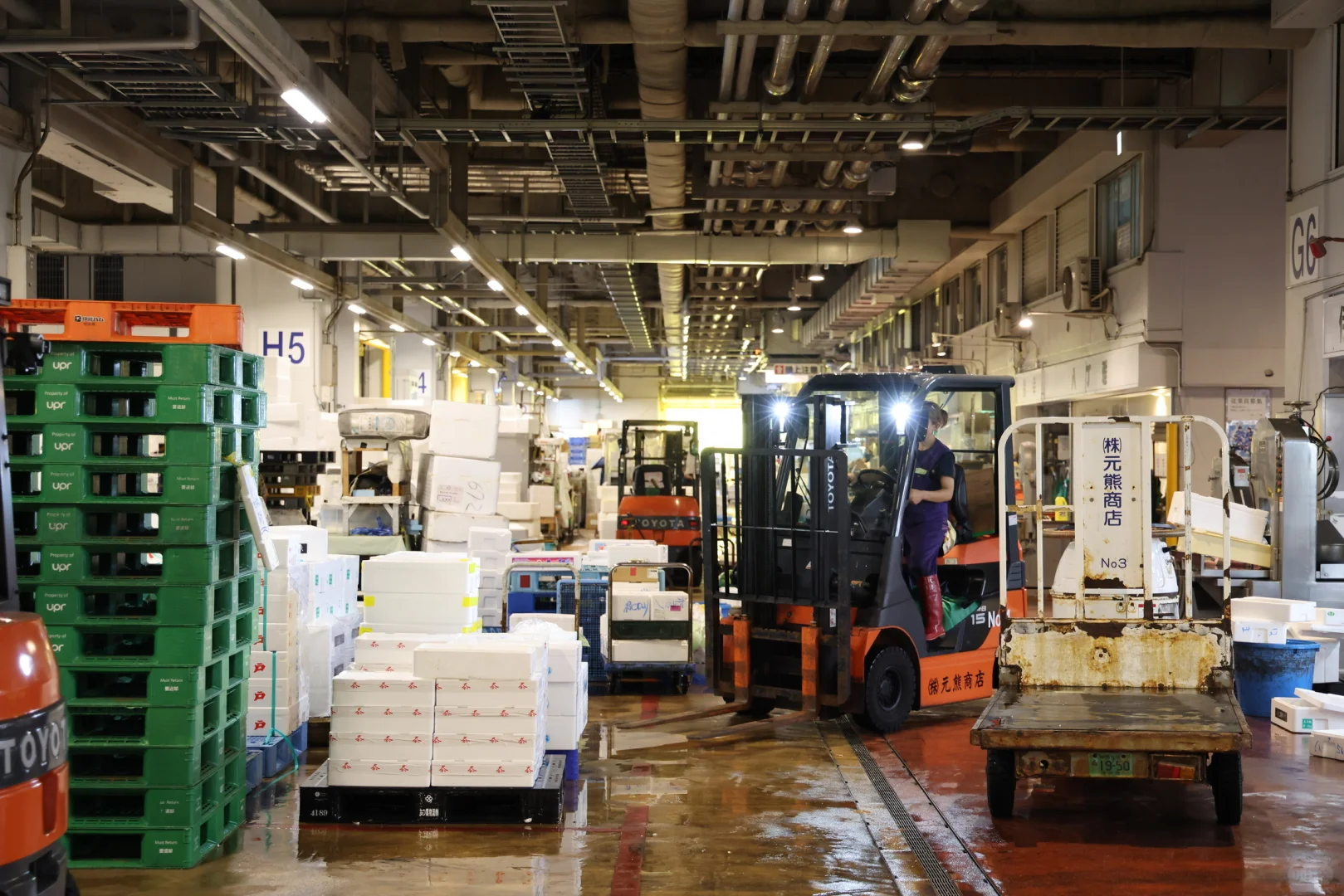 ??横滨 | 飞机一落地直奔早晨的鱼市场