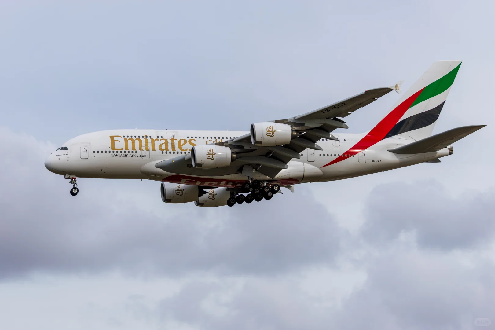 11.11 PVG一小时特种兵