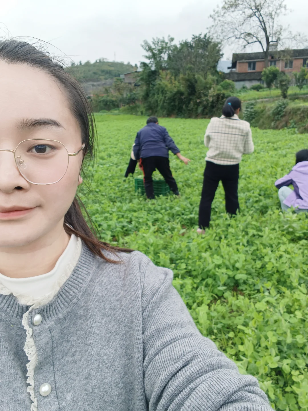 农村的豌豆荚也吃得了