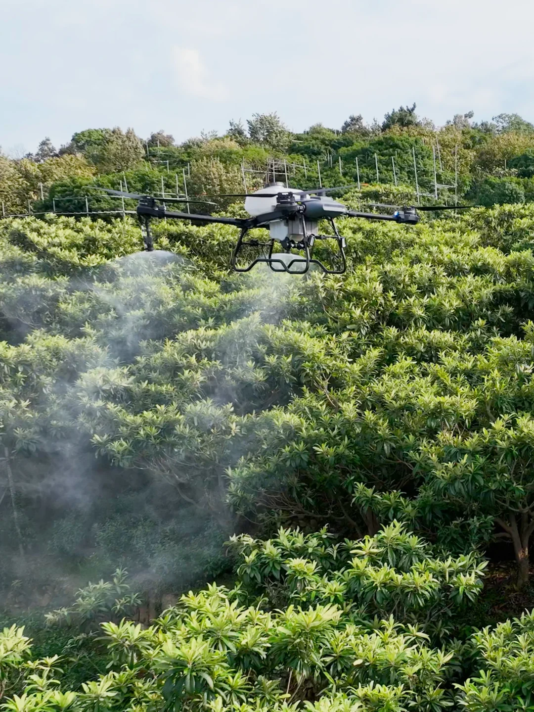 劝你别看!怕你发现无人机轻松赚钱辞职回村