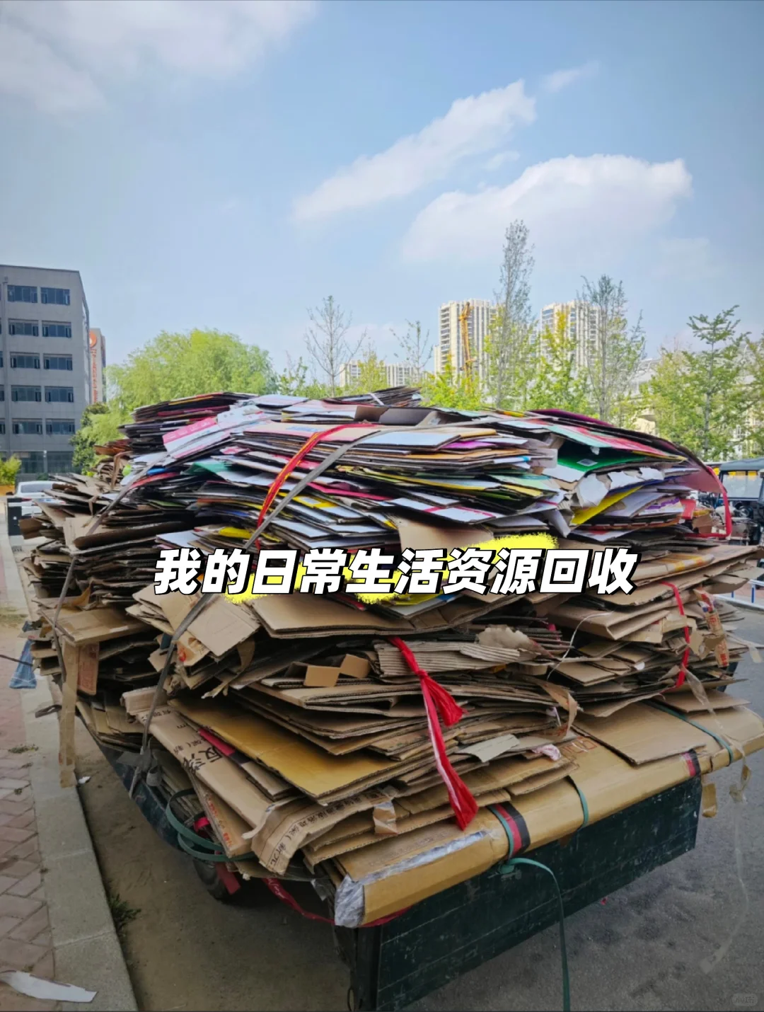 重生之我在做资源回收