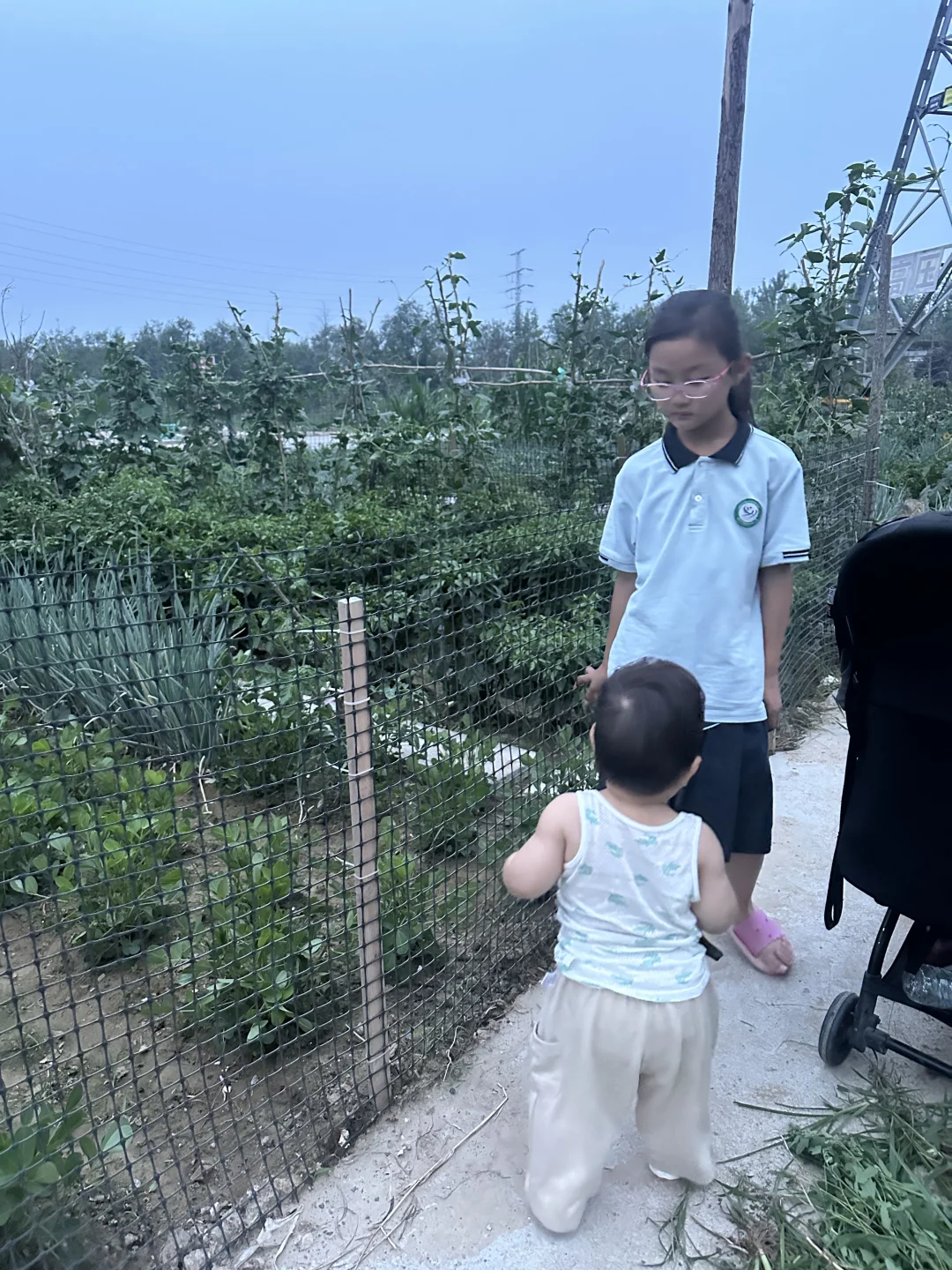 宝宝春季应季蔬菜