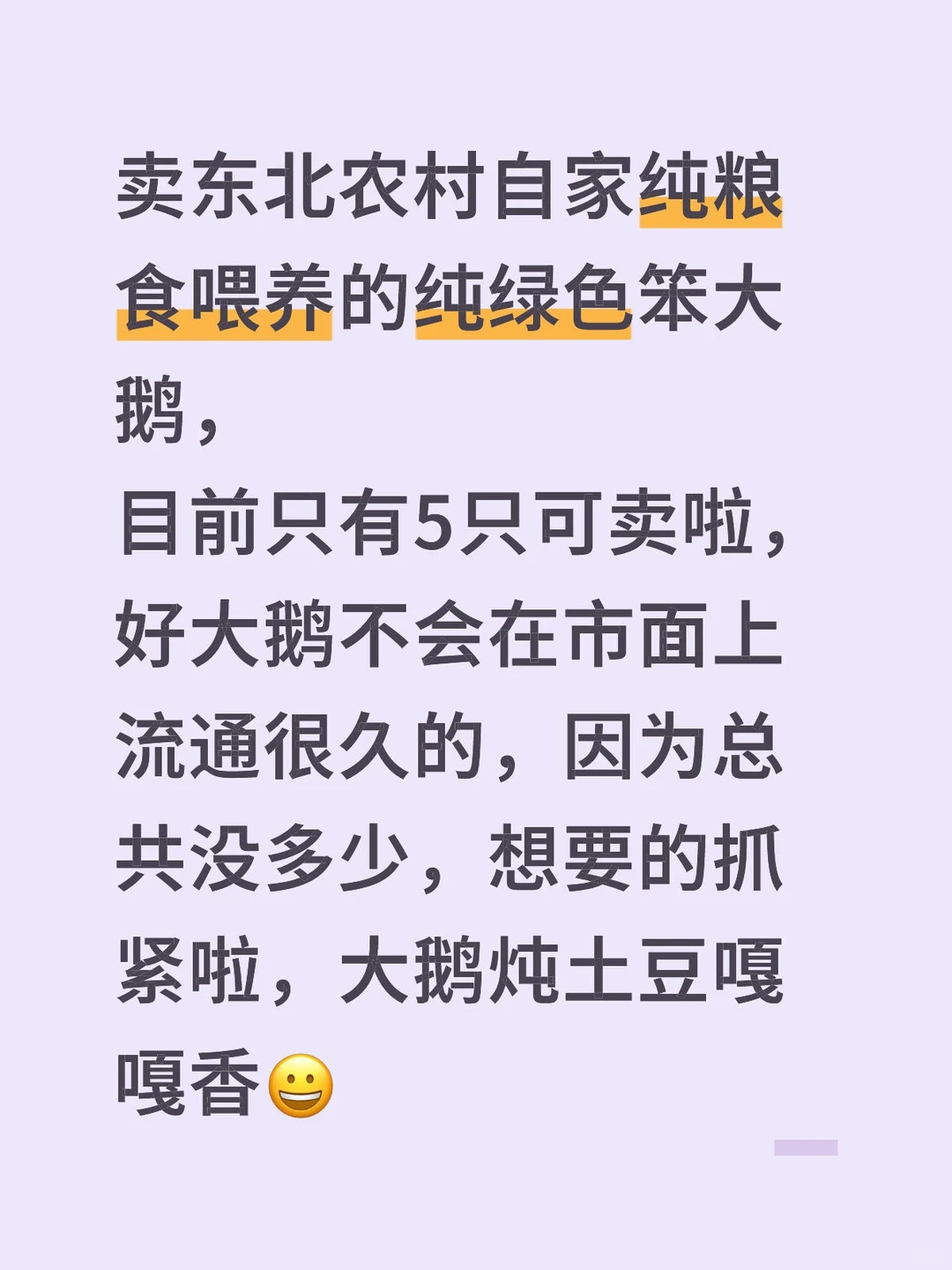 黑龙江伊春农村自家纯粮食喂养的笨大鹅