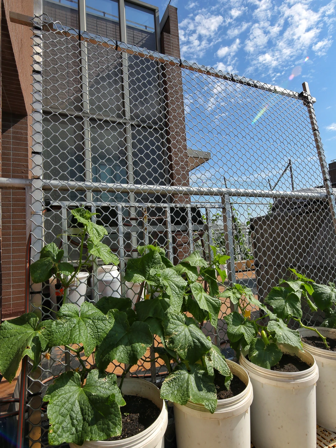 春天辛勤的播种，终于迎来收获满满的采收！