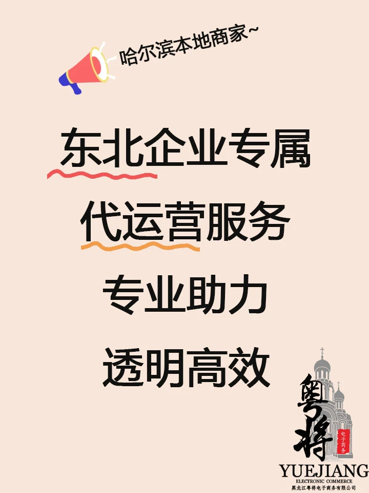 东北企业专属代运营 | 专业助力，透明高效