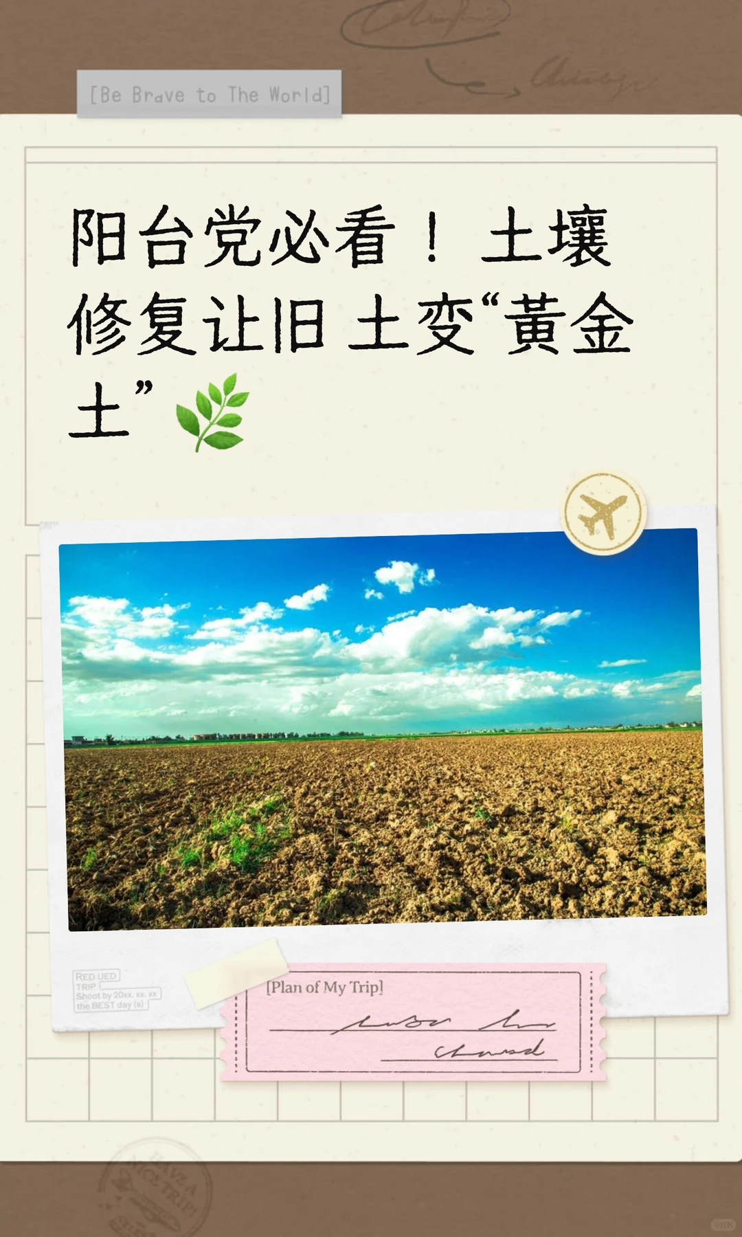 阳台党必看！土壤修复让旧土变“黄金土”