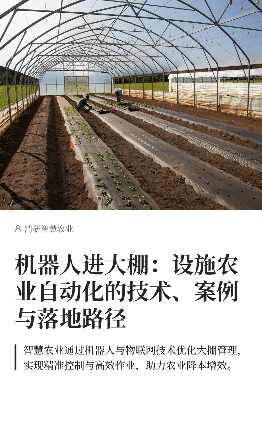 机器人进大棚：设施农业自动化技术