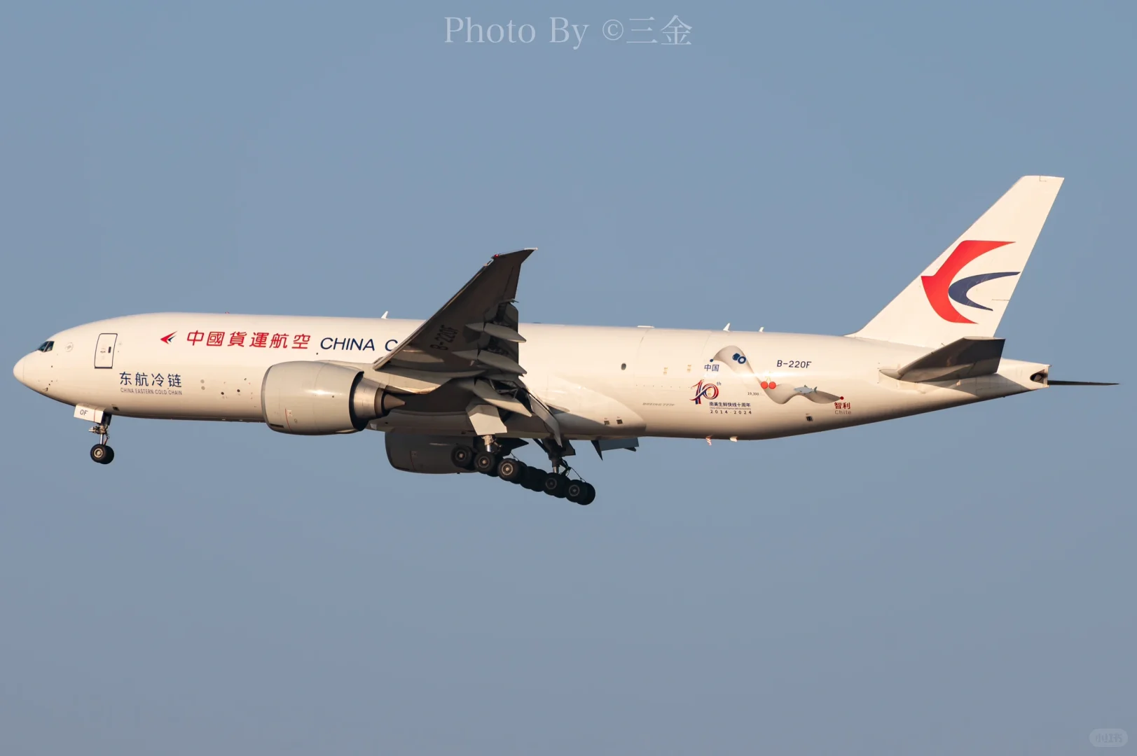 2014-2024|南美生鲜快运十周年