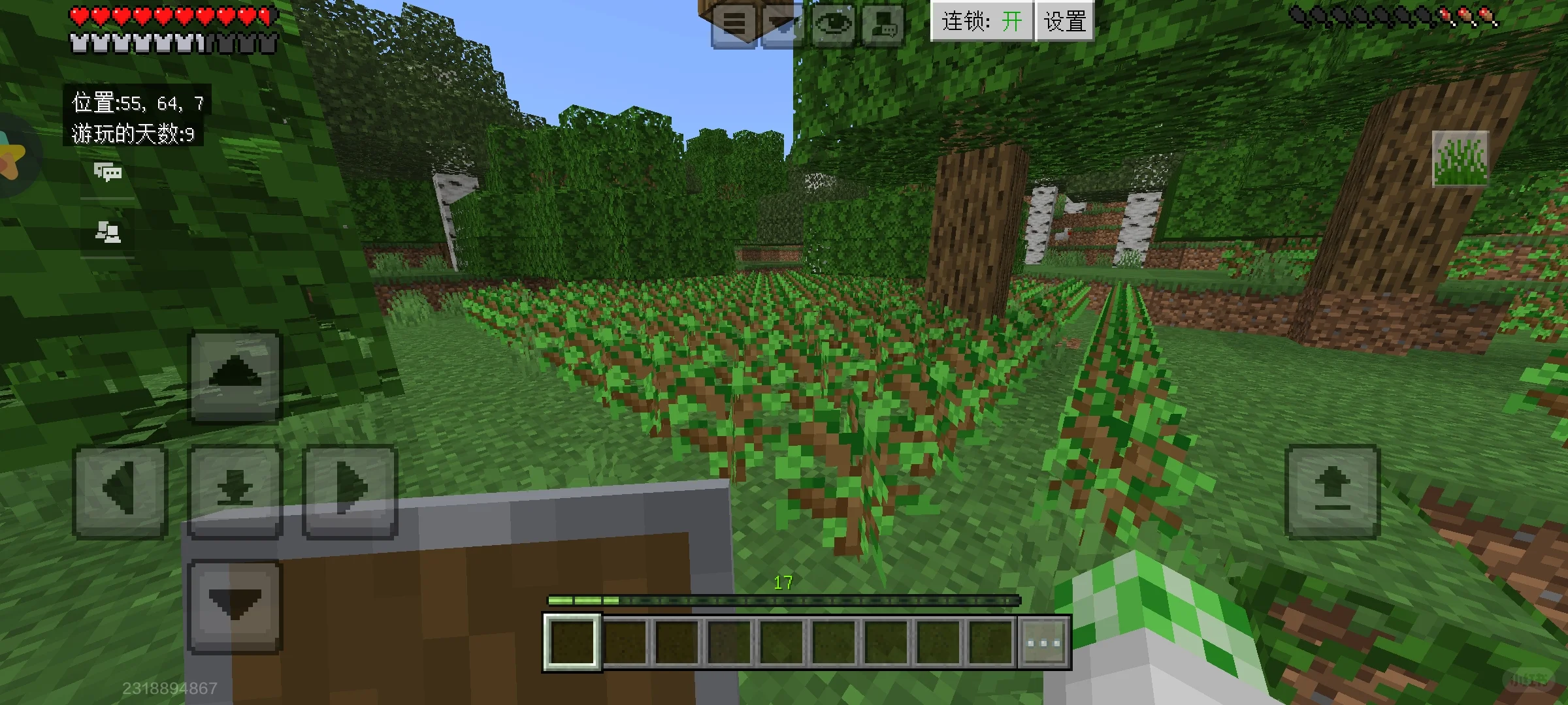 树苗种多了有种家里被占领的感觉