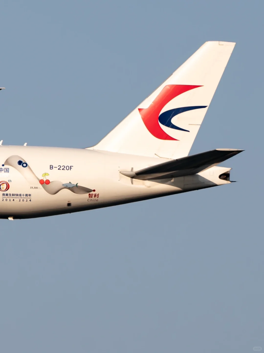 2014-2024|南美生鲜快运十周年