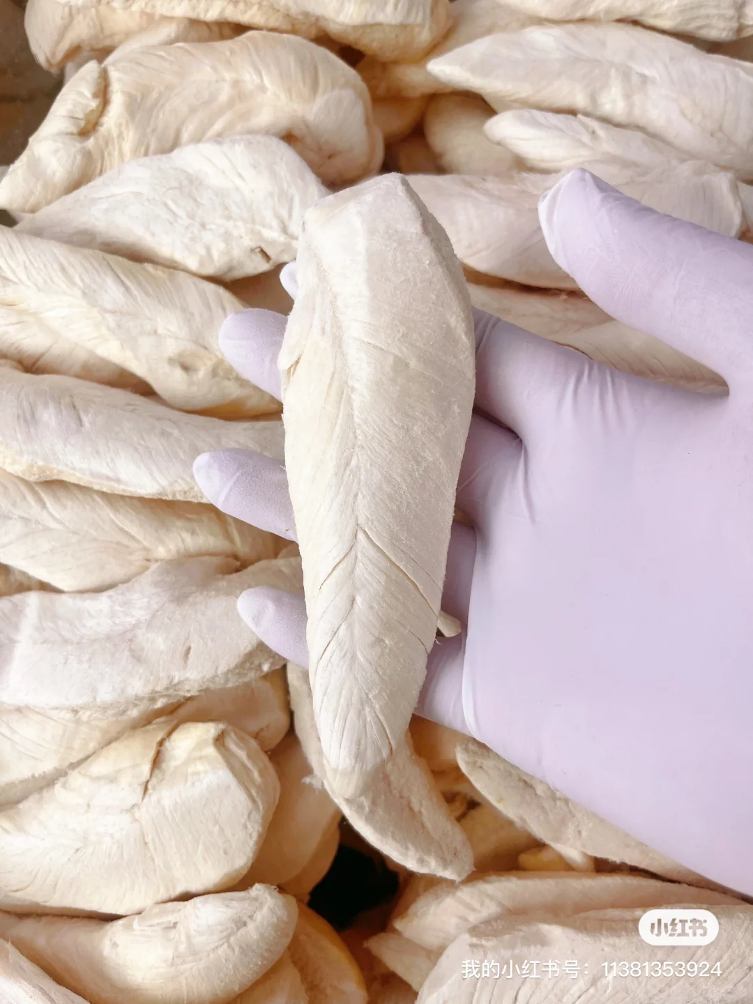 宠物冻干零食，工厂批发