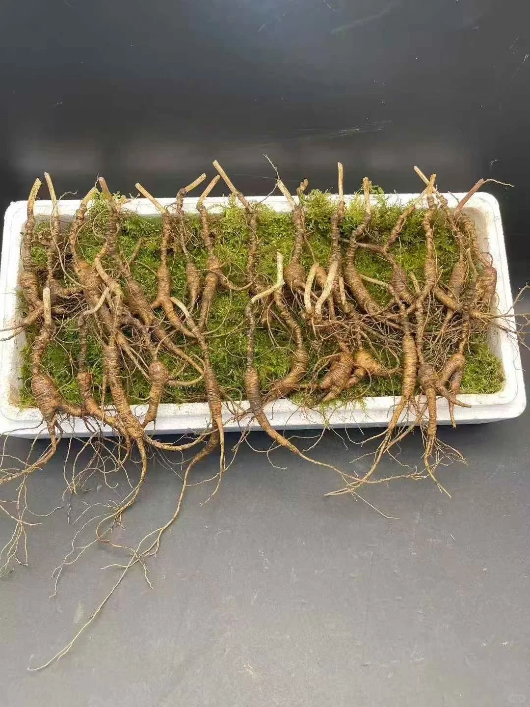 鲜林下参小老货，颗颗老纹，一份200克