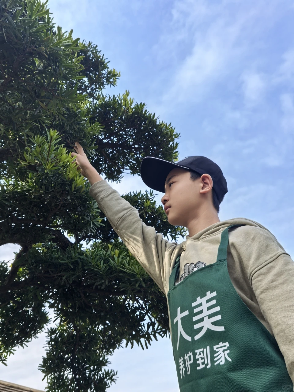 招聘绿化养护工，专业培训，可兼职可全职