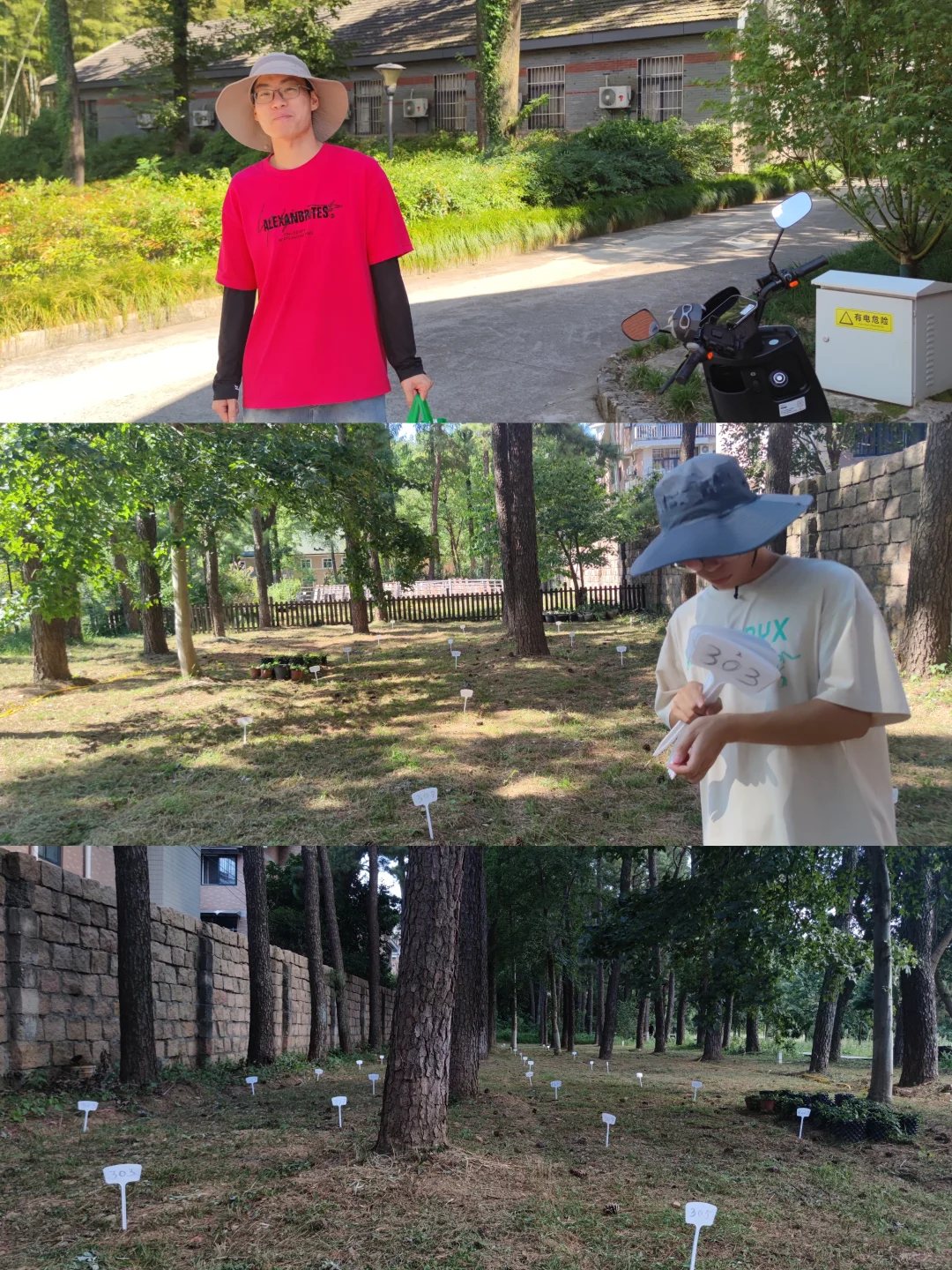 林下经济:宝藏就在树下财富与生态共赢